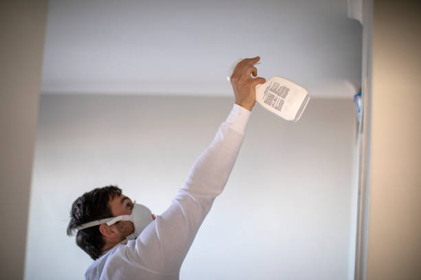 Best Mold Damage Repair  in Bourbon, IN