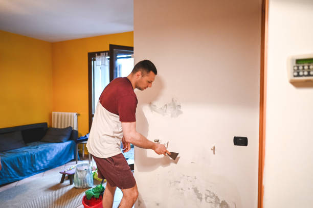 Best Fast Mold Removal  in Bourbon, IN